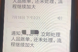 武义县遇到恶意拖欠？专业追讨公司帮您解决烦恼